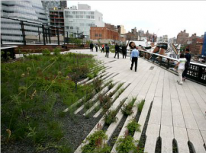 The High Line in New York after the renovation