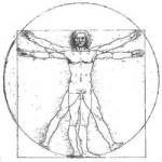 Leonardo's Vitruvian Man