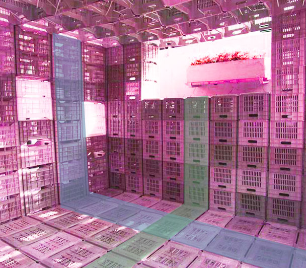 interior crates