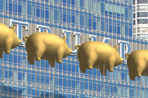 Trump Pigs Balloons