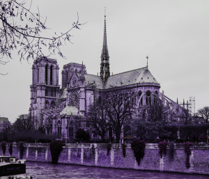 Notre Dame Cathedral Photo by bennett tobias on Unsplash