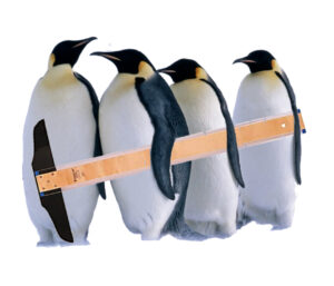 four penguins carrying a tsquare