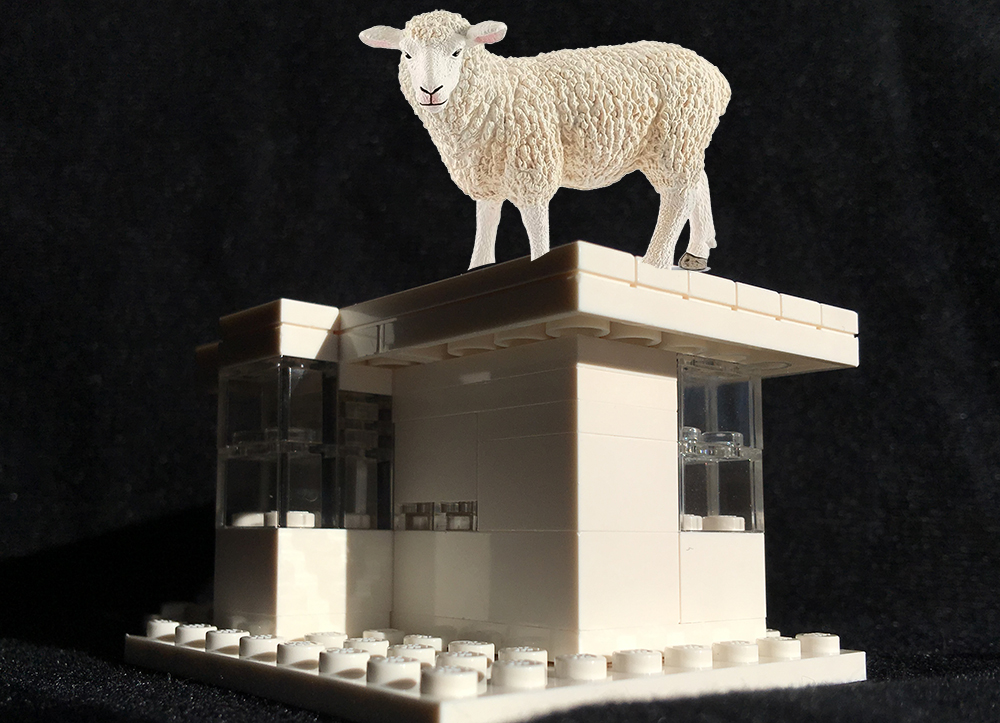 sheep on top of a house image